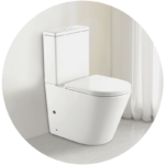 Glossy-White-Two-Piece-Toilet