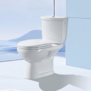 B-P3009 Two-piece Toilet